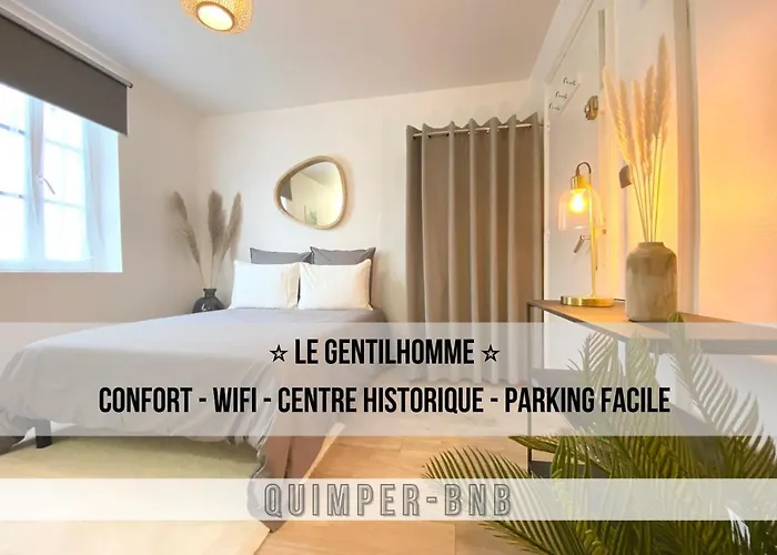 Le Gentilhomme - Studio - Entree Autonome - Plein Centre Historique